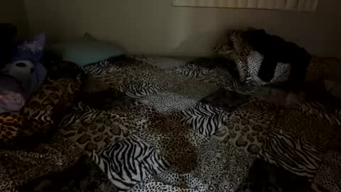 Shaman Woman online show from December 6, 2024, 2:57 am