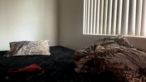 Shaman Woman online show from December 25, 2024, 8:07 pm