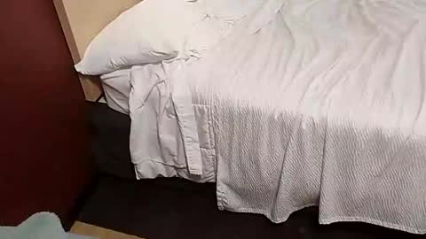 Snapshot of shanegold8266 chatting on January 22, 2025, 7:34 pm Shane Phantoms online show from January 22, 2025, 7:34 pm