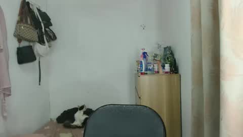 Snapshot of shanegreents chatting on December 23, 2025, 2:31 am bini aiah online show from December 23, 2025, 2:31 am