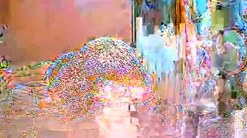 ShanyaRise online show from May 14, 2026, 11:39 am
