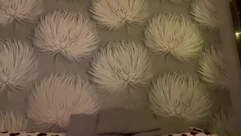 Snapshot of shaquitaalcosiba chatting on January 11, 2026, 8:03 pm Alica online show from January 11, 2026, 8:03 pm