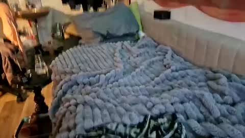 sheilasub online show from December 16, 2025, 11:48 am