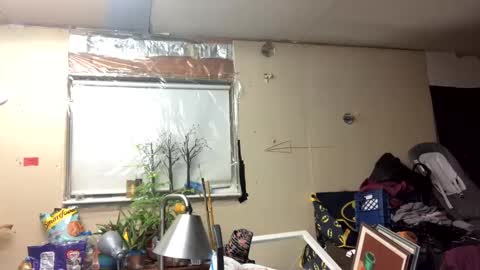 Shelby holes online show from March 10, 2025, 11:42 am