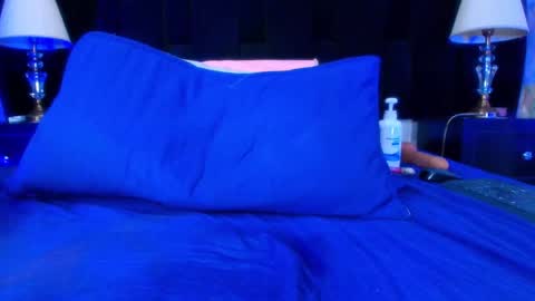 Snapshot of shelsy_loreds chatting on January 11, 2025, 4:03 pm Shelsy online show from January 11, 2025, 4:03 pm