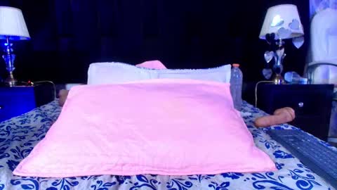 Snapshot of shelsy_loreds chatting on February 19, 2025, 2:55 pm Shelsy online show from February 19, 2025, 2:55 pm