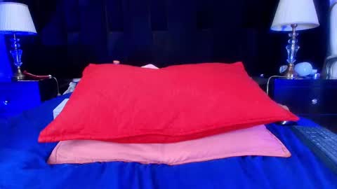 Snapshot of shelsy_loreds chatting on March 4, 2025, 2:53 pm Shelsy online show from March 4, 2025, 2:53 pm