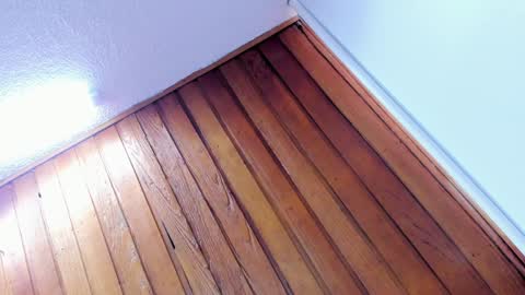 Snapshot of sherydan_love chatting on January 8, 2025, 2:14 pm mia online show from January 8, 2025, 2:14 pm