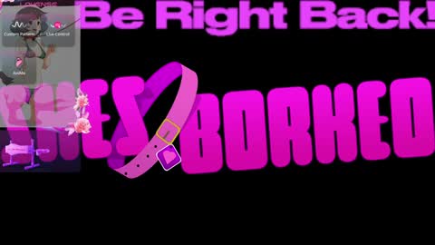 Snapshot of shesborked chatting on January 4, 2025, 2:56 pm Gina online show from January 4, 2025, 2:56 pm