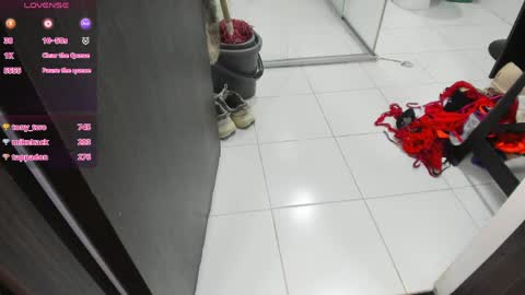 Snapshot of sheyla__ebony chatting on March 30, 2026, 1:06 am sheyla__ebony online show from March 30, 2026, 1:06 am