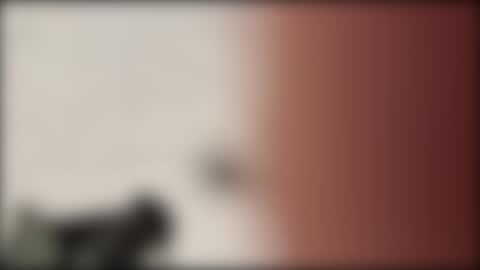 Snapshot of shifted1 chatting on January 1, 2025, 11:18 pm shifted1 online show from January 1, 2025, 11:18 pm