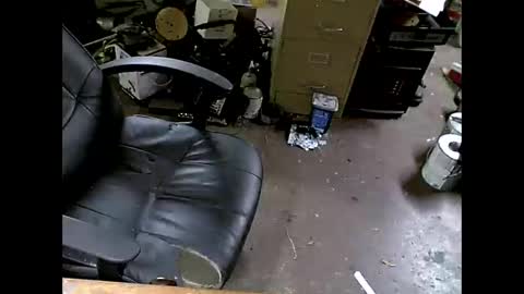 Snapshot of shoani chatting on November 8, 2025, 7:41 am Shoani online show from November 8, 2025, 7:41 am