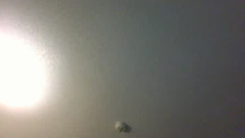 Snapshot of showuthed chatting on July 14, 2026, 2:38 am showuthed online show from July 14, 2026, 2:38 am