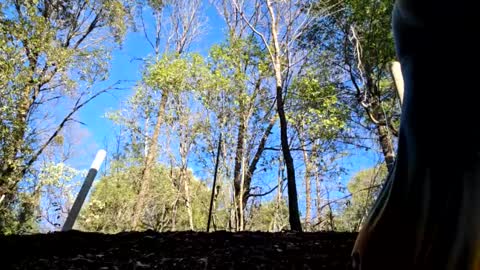 Aurora Wolfe  Shy College Girl  Top 16 of all OF Creators online show from January 11, 2025, 11:13 pm