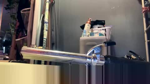 Snapshot of shyg1r1 chatting on December 19, 2024, 4:13 pm Sasha online show from December 19, 2024, 4:13 pm