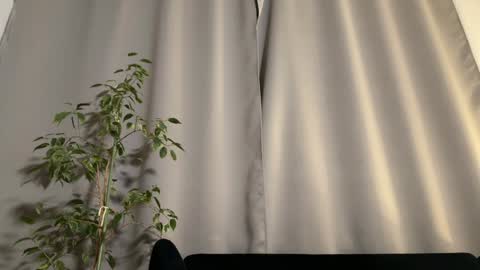 Amelia online show from February 3, 2025, 7:10 pm