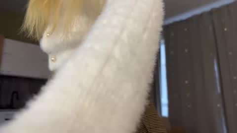 Aurora online show from October 12, 2025, 6:23 am