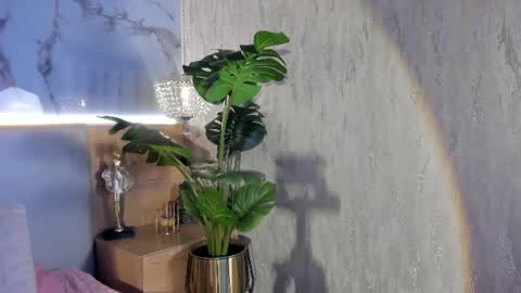 sienna belluccii online show from July 28, 2026, 4:39 pm
