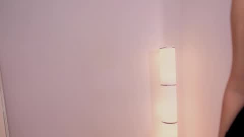 Snapshot of silent_chill chatting on February 23, 2025, 11:55 am Chilli online show from February 23, 2025, 11:55 am