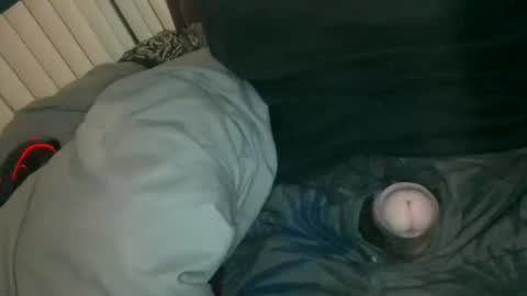 Snapshot of silentstiffler chatting on November 30, 2025, 4:27 am silentstiffler online show from November 30, 2025, 4:27 am