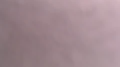 silk_ann online show from July 7, 2026, 7:56 am