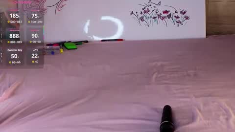 silly___woman online show from October 15, 2025, 3:01 pm