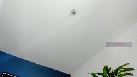 silvabranko online show from October 26, 2025, 10:04 pm