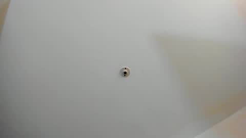 silvabranko online show from November 2, 2025, 11:07 pm