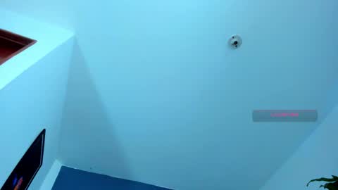 silvabranko online show from November 9, 2025, 11:03 pm