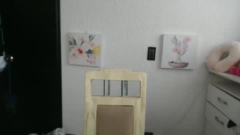 Snapshot of silvanaroberts_ chatting on December 5, 2025, 8:27 pm Rouse online show from December 5, 2025, 8:27 pm