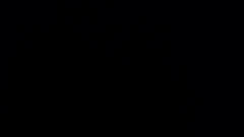 silvia_ls online show from February 24, 2025, 12:30 am