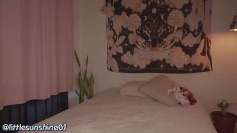 Snapshot of simon_bane01 chatting on December 9, 2024, 9:16 pm Little Sunshine online show from December 9, 2024, 9:16 pm