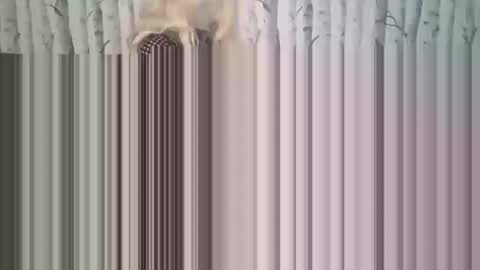 Snapshot of simontupin1973 chatting on December 17, 2025, 1:33 am simontupin1973 online show from December 17, 2025, 1:33 am