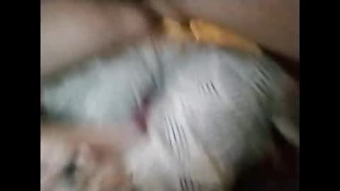 Snapshot of sinbook611 chatting on October 23, 2025, 10:58 am sinbook611 online show from October 23, 2025, 10:58 am