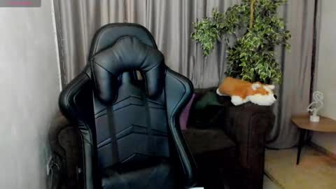 Sinty Noria online show from February 12, 2025, 4:33 am