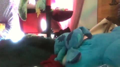 Siofra online show from February 3, 2026, 3:28 pm