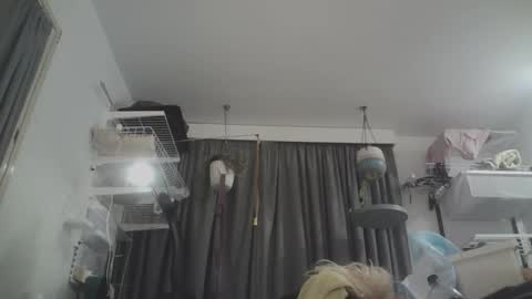 Snapshot of sissyboilooking chatting on March 8, 2026, 10:41 am RESPONDS WELL TO ... online show from March 8, 2026, 10:41 am