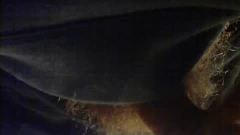 Snapshot of sjim368 chatting on December 2, 2025, 1:17 pm sjim368 online show from December 2, 2025, 1:17 pm