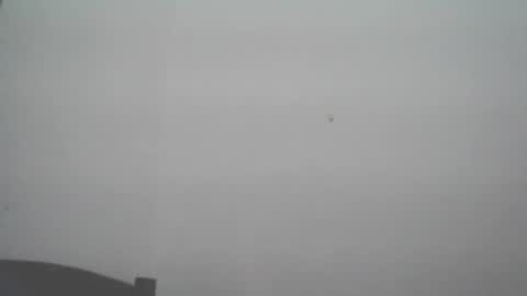 skady_coronado online show from November 11, 2025, 6:08 pm