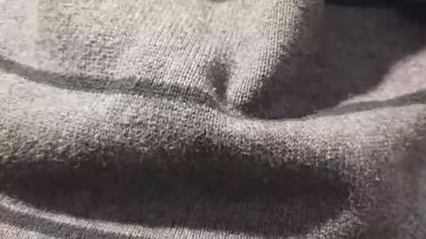 skeetzmgee online show from November 12, 2025, 5:57 pm