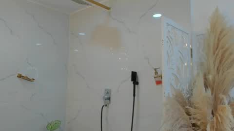 Snapshot of skinnygirl_28 chatting on January 10, 2026, 12:12 am SkinnyGirl online show from January 10, 2026, 12:12 am