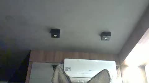 skinnykittencam online show from November 15, 2025, 5:27 am