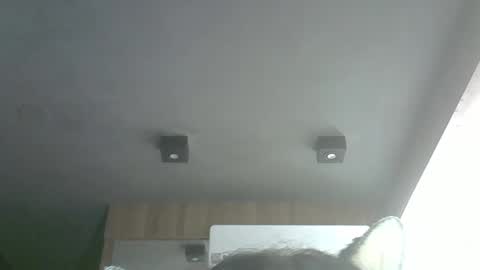 Snapshot of skinnykittencam chatting on March 29, 2026, 4:34 am skinnykittencam online show from March 29, 2026, 4:34 am
