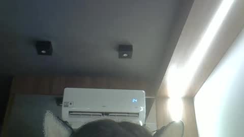 Snapshot of skinnykittencam chatting on April 8, 2026, 12:38 pm skinnykittencam online show from April 8, 2026, 12:38 pm