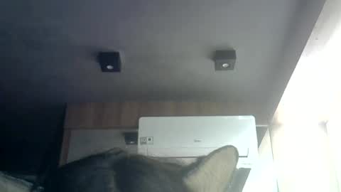 Snapshot of skinnykittencam chatting on June 23, 2026, 1:36 am skinnykittencam online show from June 23, 2026, 1:36 am