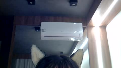 Snapshot of skinnykittencam chatting on June 26, 2026, 1:04 pm skinnykittencam online show from June 26, 2026, 1:04 pm