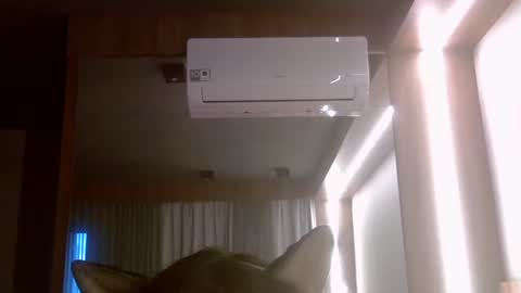 Snapshot of skinnykittencam chatting on July 7, 2026, 8:02 pm skinnykittencam online show from July 7, 2026, 8:02 pm