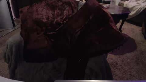 SKYLE   online show from September 24, 2025, 7:01 am