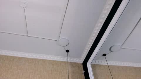 skylerbloom online show from April 5, 2026, 4:53 am