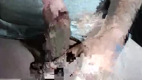 Snapshot of slash1710 chatting on September 13, 2025, 10:31 pm Z online show from September 13, 2025, 10:31 pm